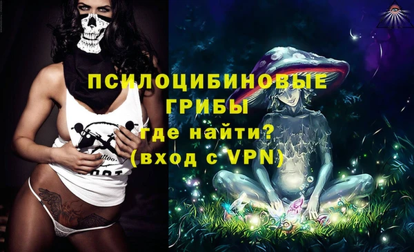 apvp Алзамай
