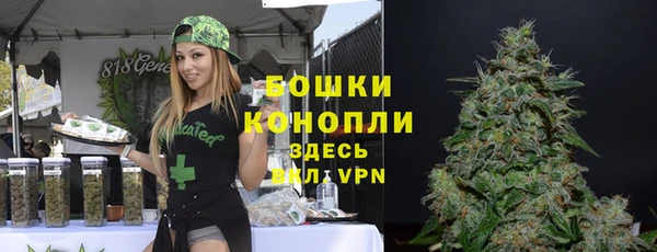 ALPHA PVP Алексин