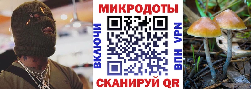 Псилоцибиновые грибы Psilocybine cubensis  Дубовка 