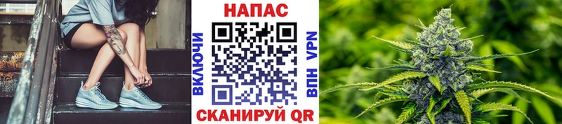 Шишки марихуана план  цены   Дубовка 